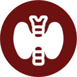 1744781536_Icon 13.png